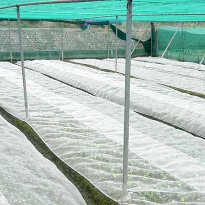 30x30mesh 50x50mesh agriculture greenhouse anti insect net, 100% HDPE netting ( Anping factory )