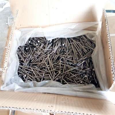 Common nails, polished 1''-7'', low price