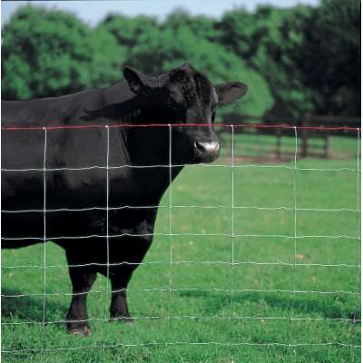 galvanized or pvc coated farm animal fence wire cheaper cost