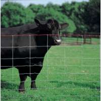 galvanized or pvc coated farm animal fence wire cheaper cost