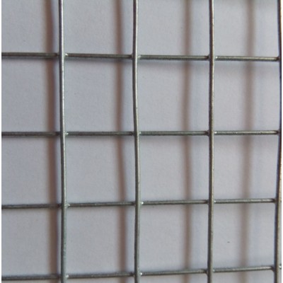 12.7mm x 12.7mm galvanized iron wire mesh hot dipped galvanized after welded for bird cage