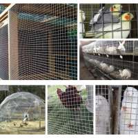 cold galvanized chicken wire mesh hexagonal wire netting (factory)