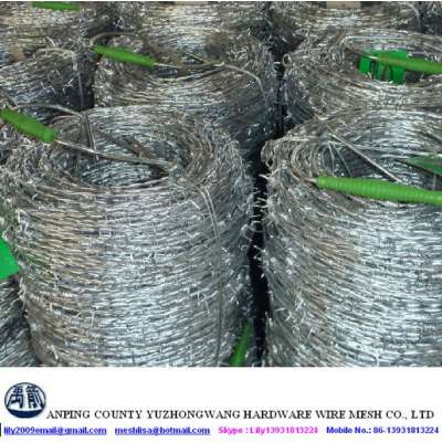 Hot Dipped Galvanized Barbed Wire to Brazil