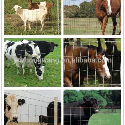 cattle electric fence