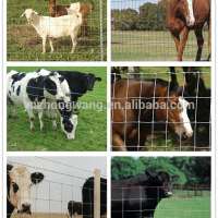 cattle electric fence