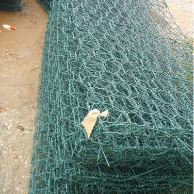 plastic gabion ( ISO9001:2000Certificated )