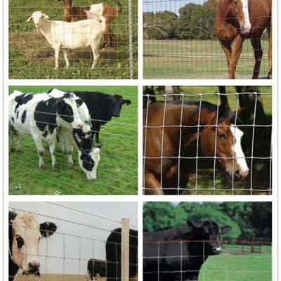 High quality goat farming/field fence for sheep