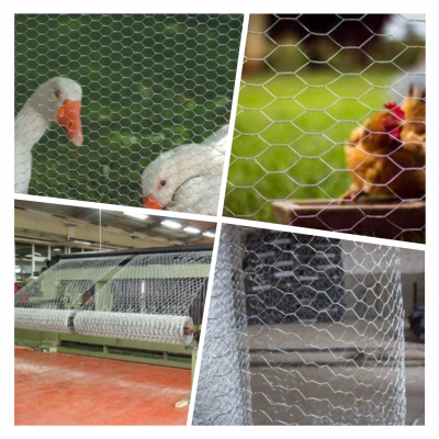 1/2'' 3/4'' 1 inch insulation chicken mesh wire bwg 26 25 24 23 22 21 20 hot dipped galvanized pvc coated hexagonal wire netting